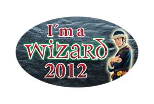 imawizard_2012